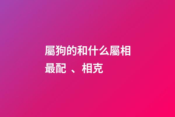 屬狗的和什么屬相最配、相克（狗跟什么相沖相克）-第1張-星座運勢-玄機派